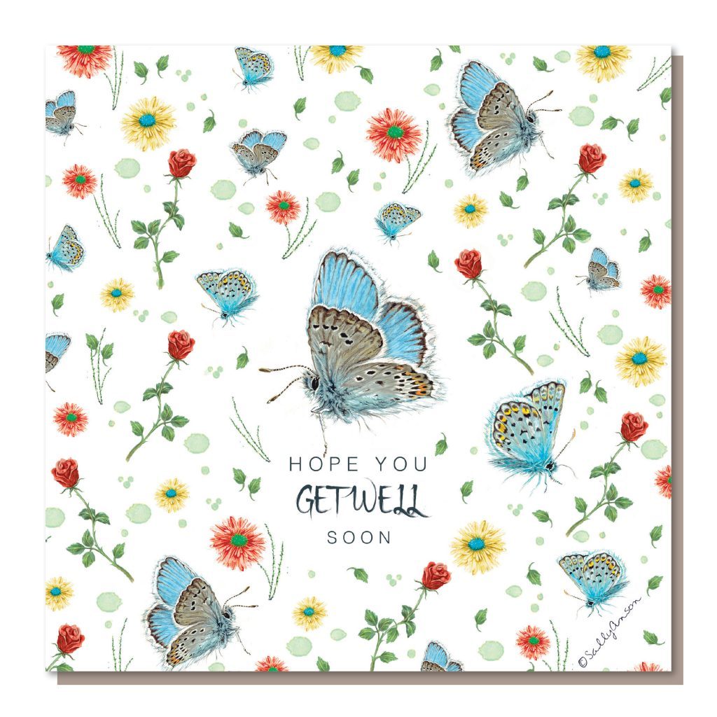 DD002-Butterflies