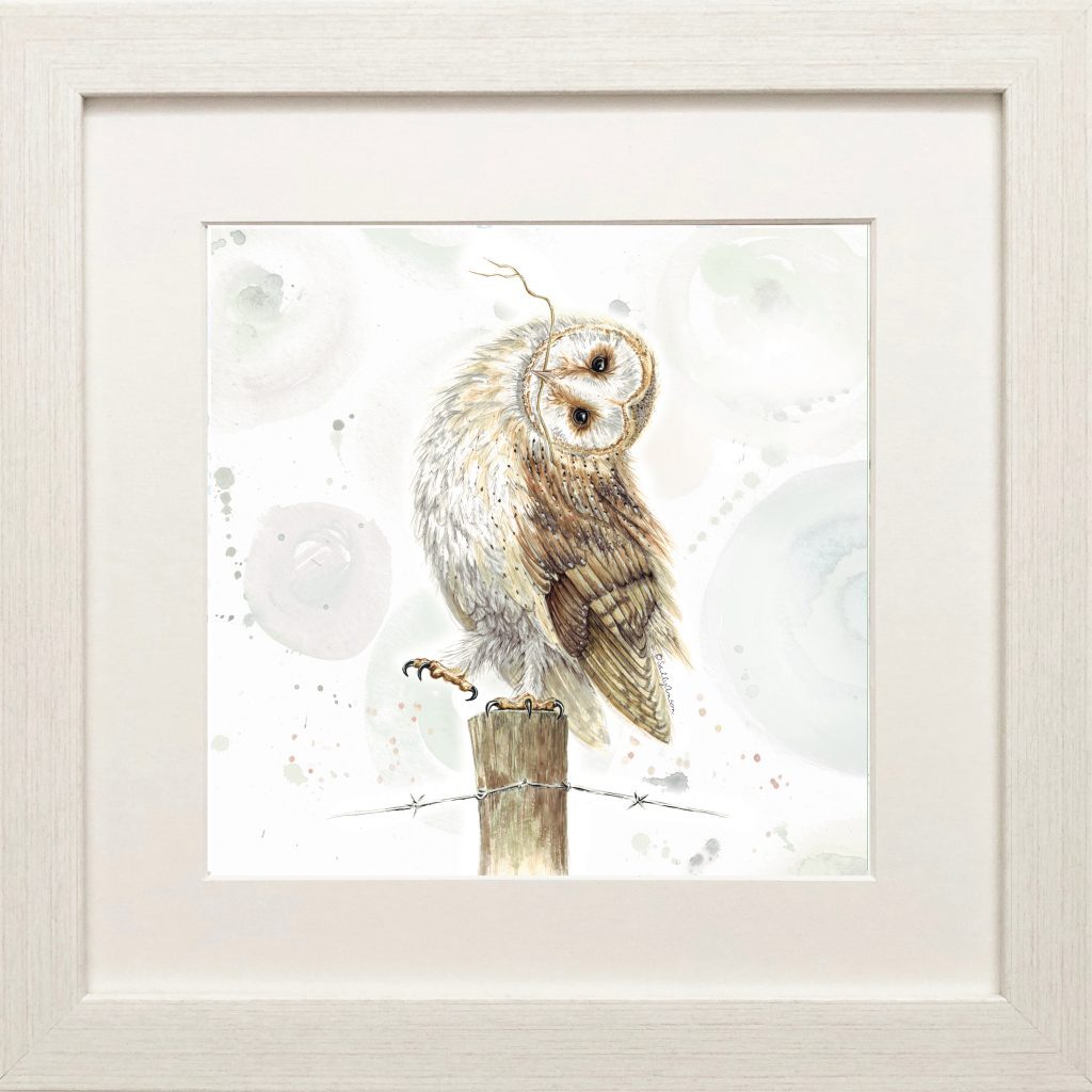 FPSEC017-Barn-Owl