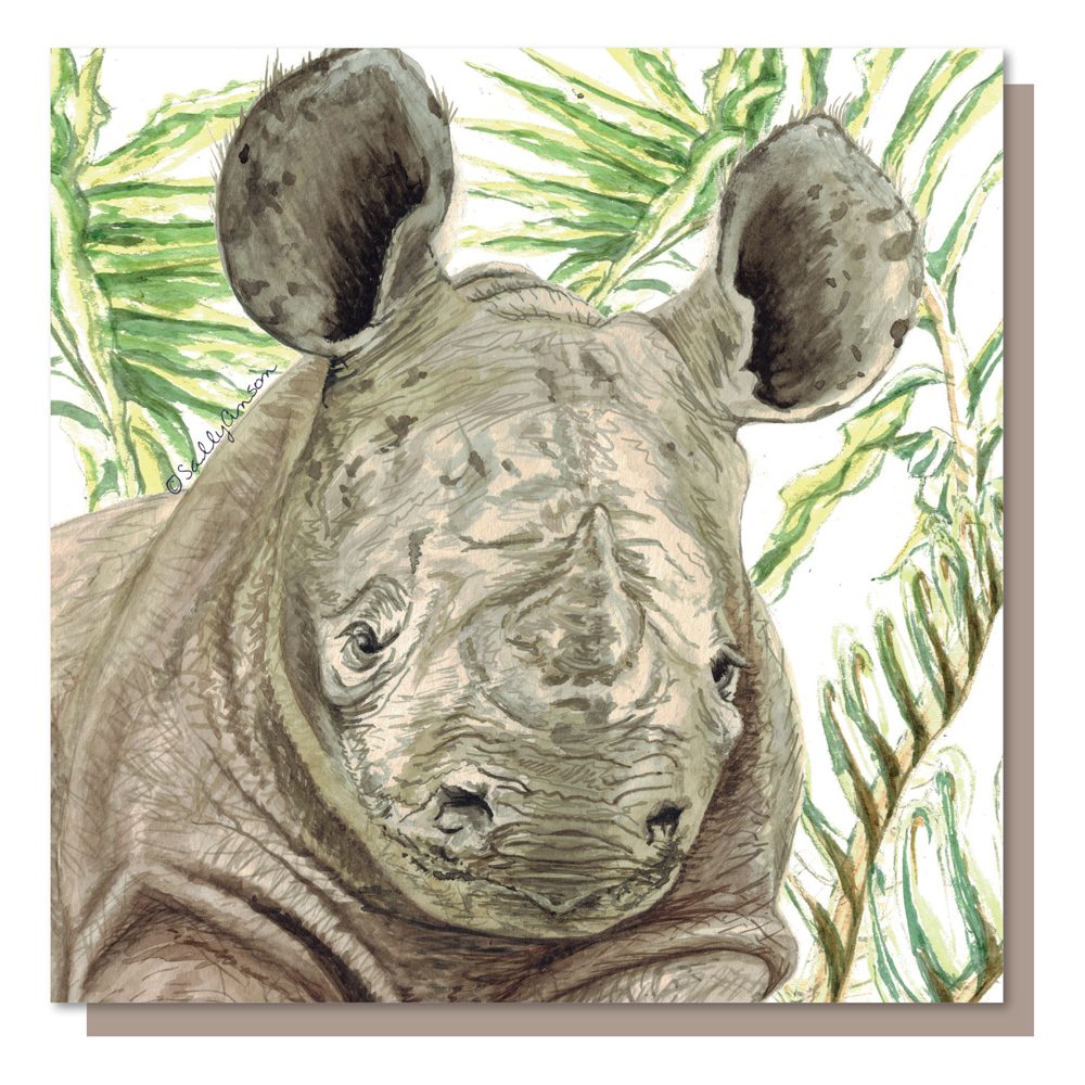 SJB006 - Rhino